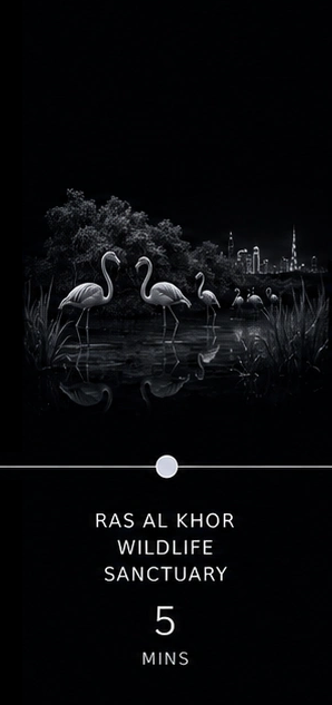 Driving distance from Meydan City to Ras Al Khor Wildlife Sanctuary